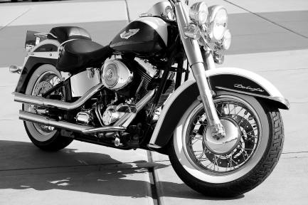 Defekt fästelement leder till återkallande av Harley-Davidson.